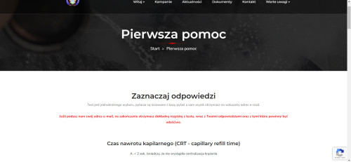 Tworzenie stron internetowych - 
